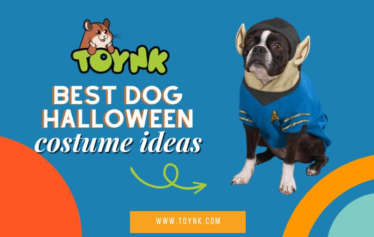 Best Dog Halloween Costume Ideas
