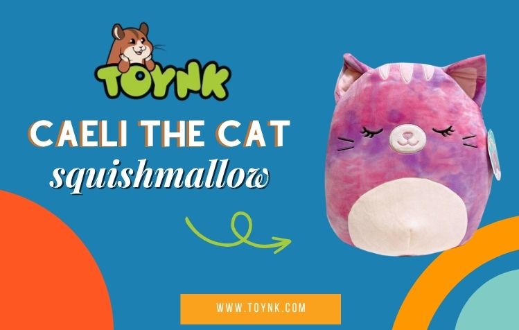 Caeli The Cat Squishmallow