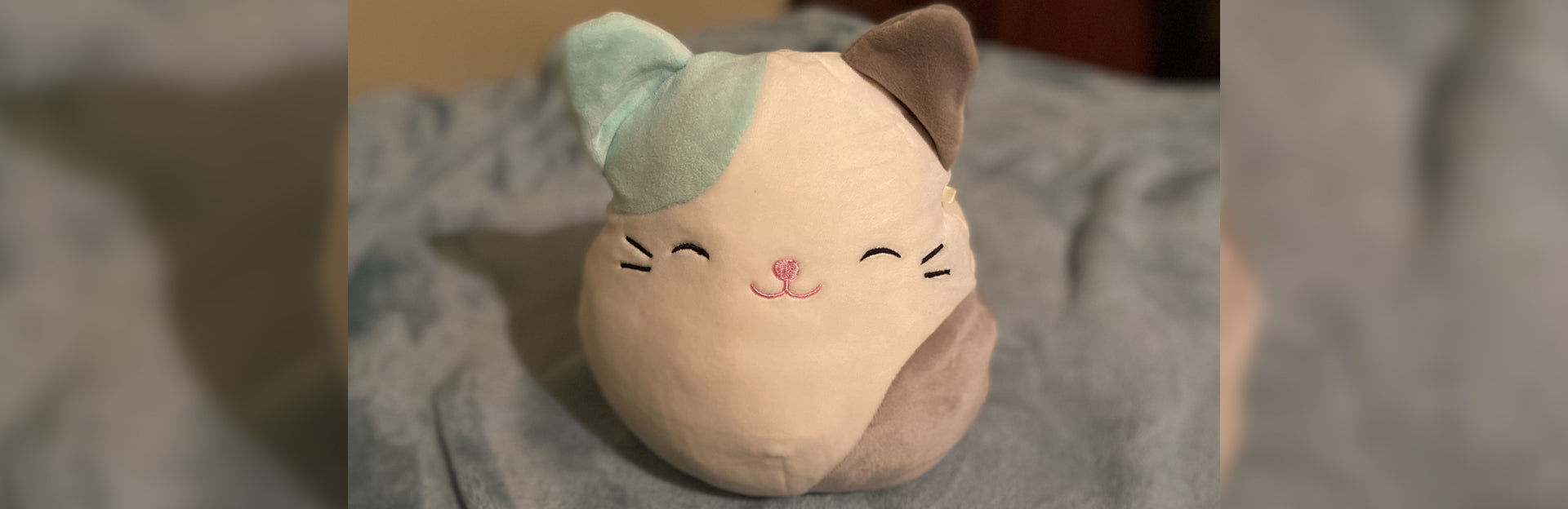 Caeli The Cat Squishmallow: Full Guide (2024 Updated)