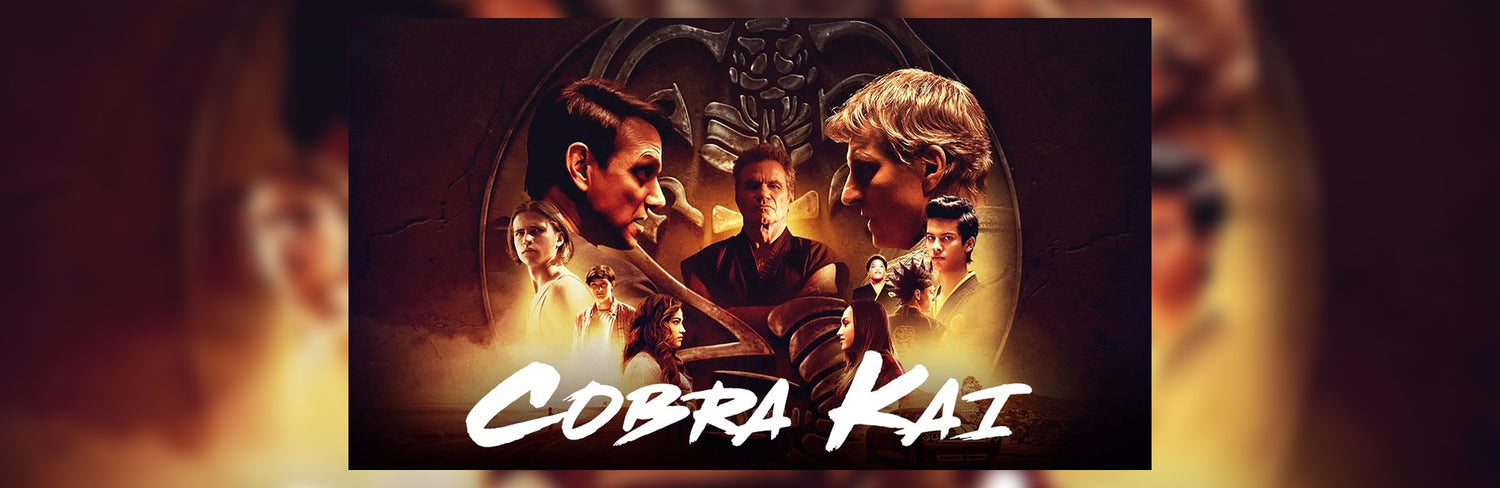 20 Best Cobra Kai Gifts (2024 Updated)