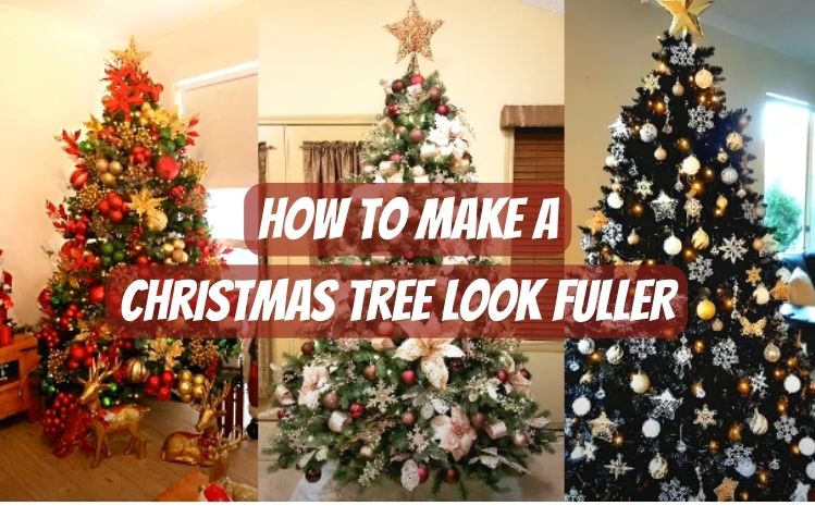 How to look after shop a xmas tree