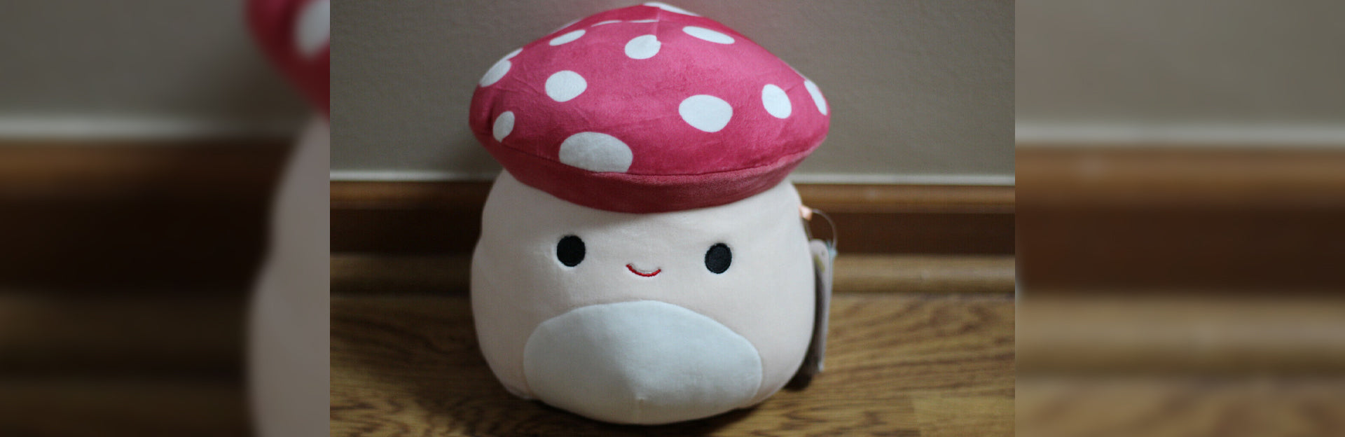 Malcolm the Mushroom Squishmallow: Full Guide (2024)