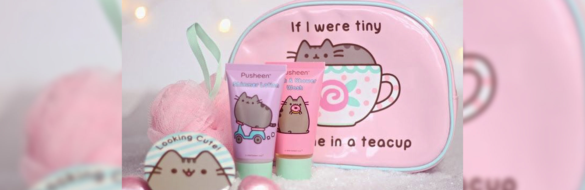15 Best Pusheen Gifts For All Ages Listed (2024 Updated)