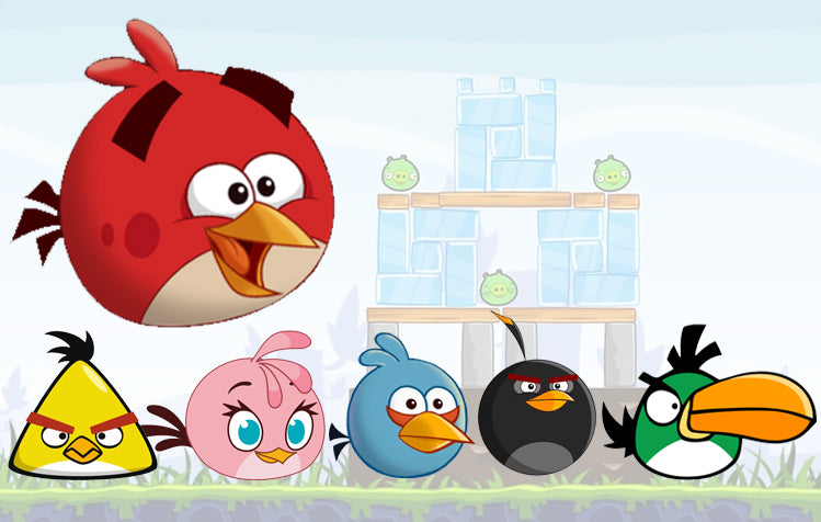 What Are The Angry Bird Names? Popular List (2024 Updated)