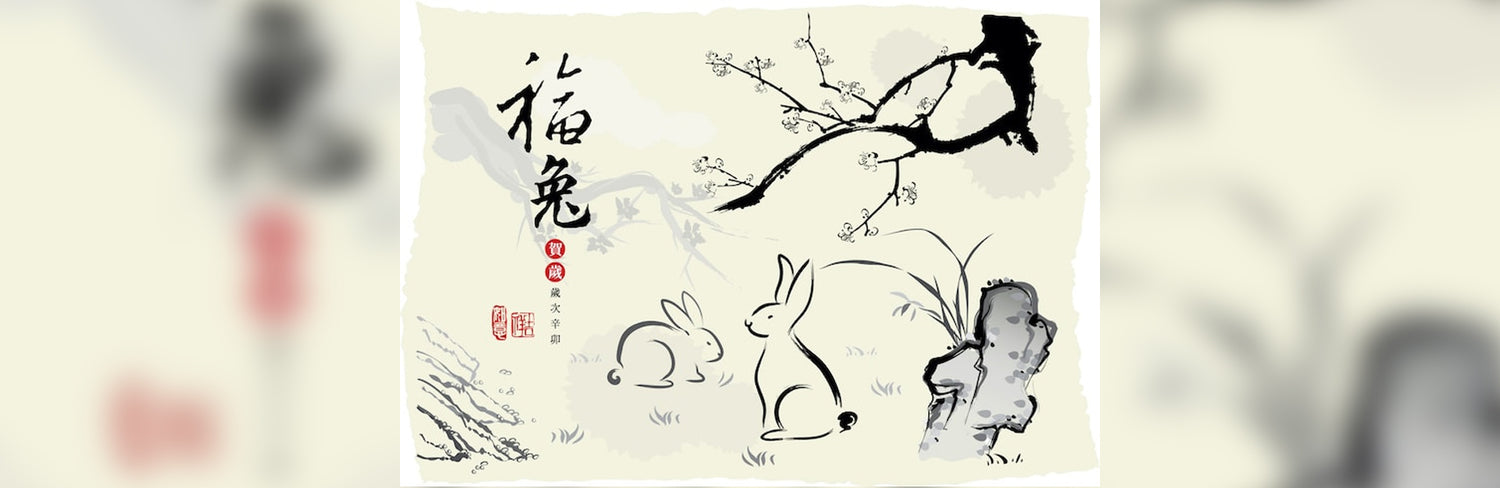 Year of the Rabbit: Chinese Zodiac Guide (2024 Updated)