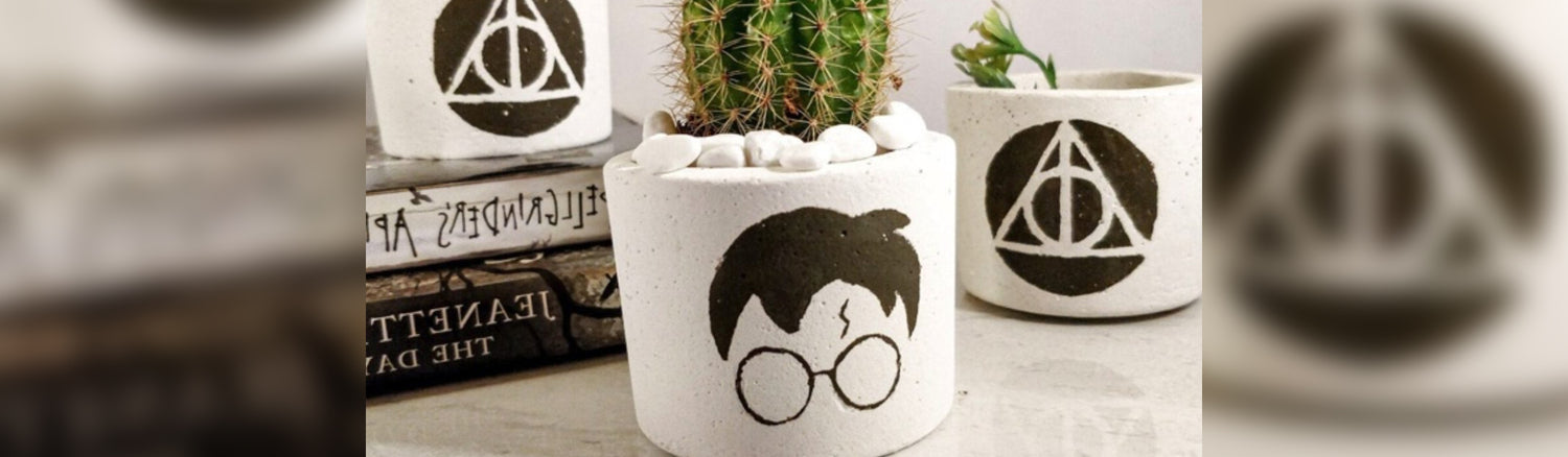 15 Best Harry Potter Planters: Full Guide (2024 Updated)
