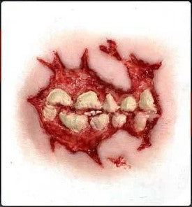 Costume 3D FX Transfers: Zombie Cheek Decay