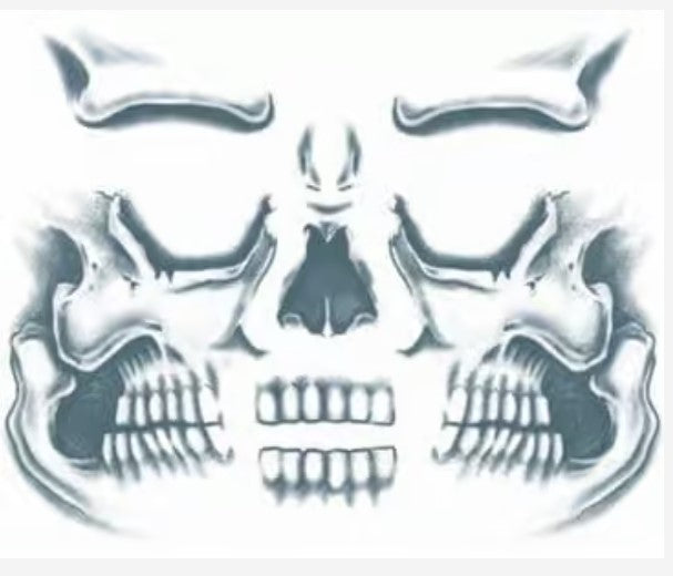 Costume Tattoo: Skull Face