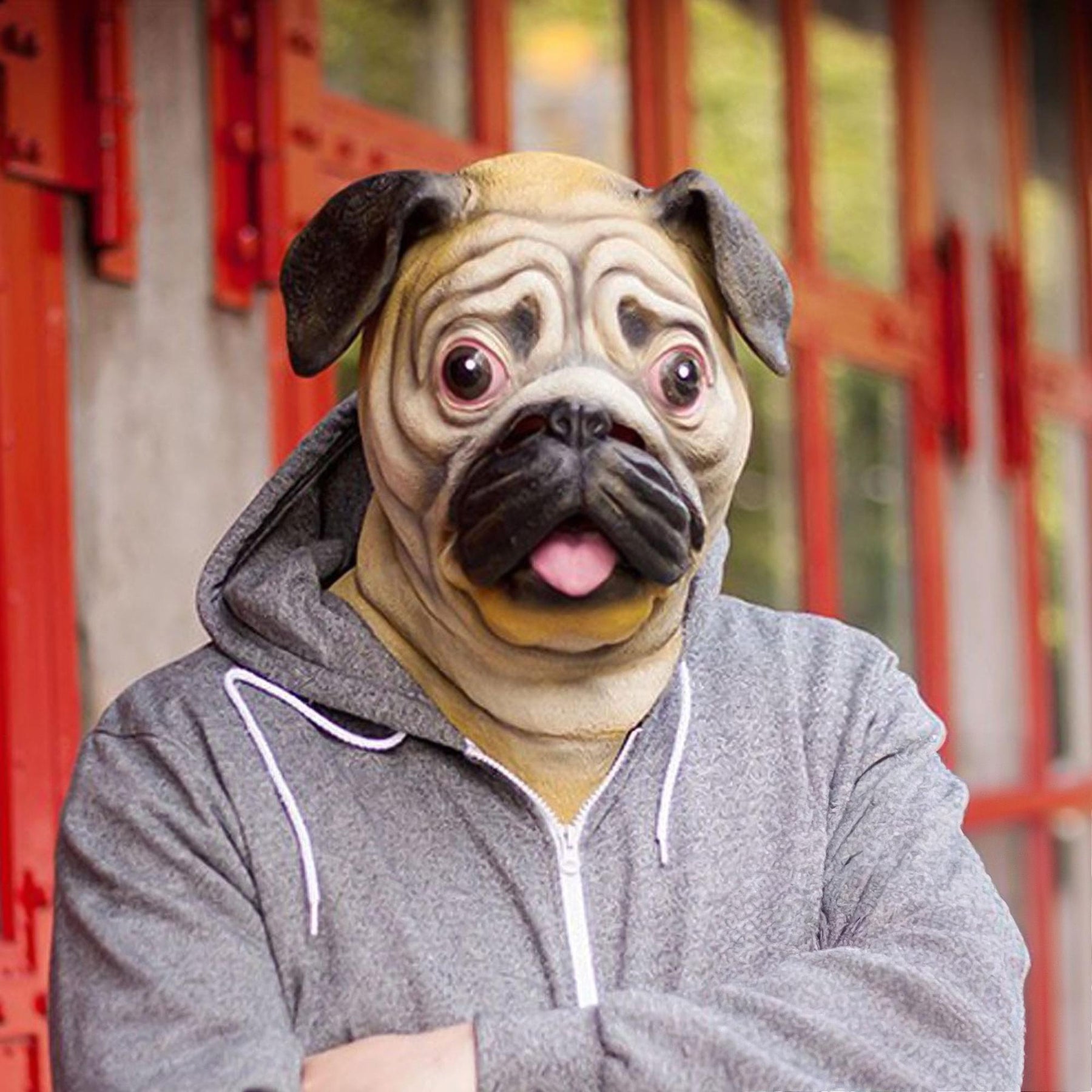 Pug Dog Head Costume Latex Mask Adult