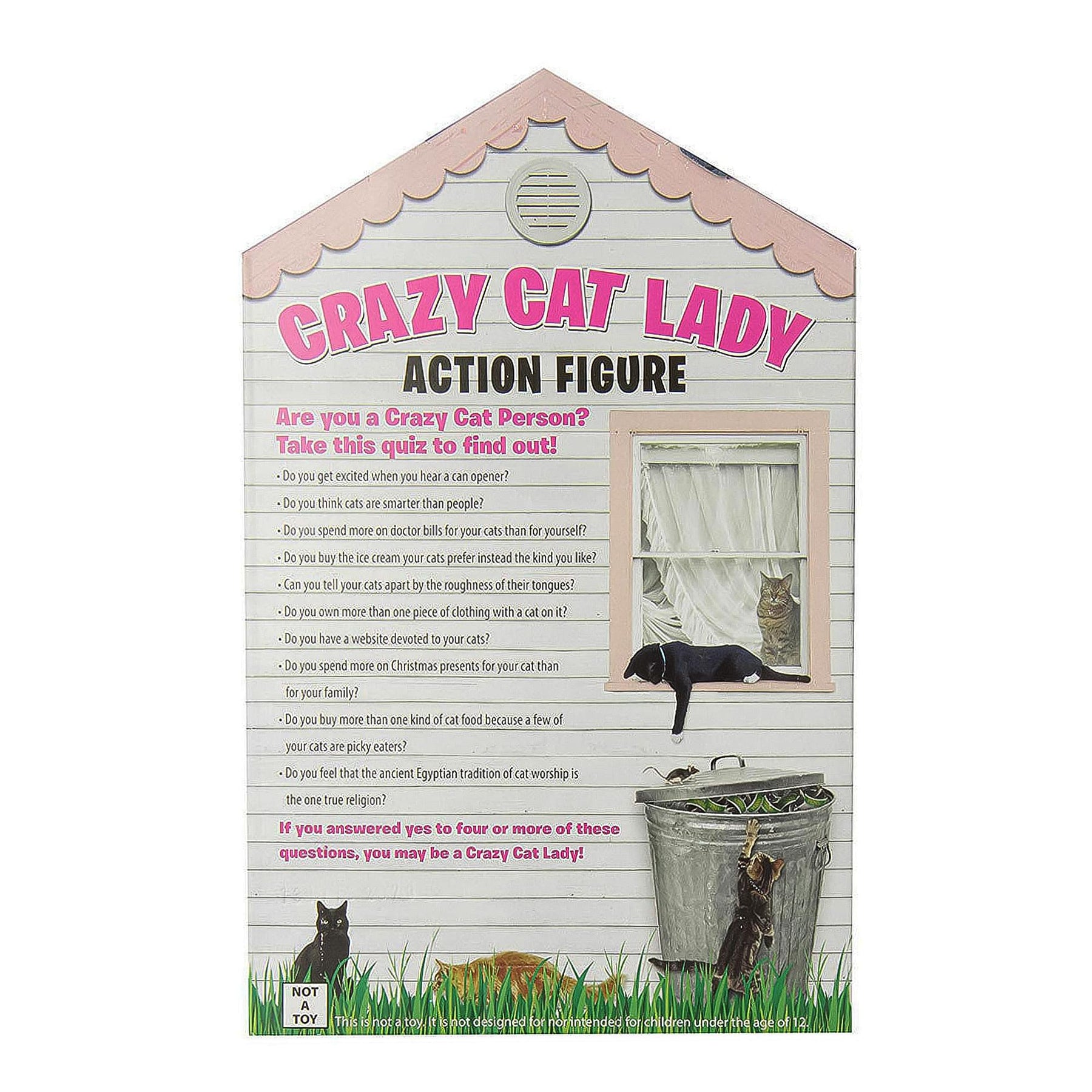 Crazy Cat Lady 6" Vinyl Action Figure