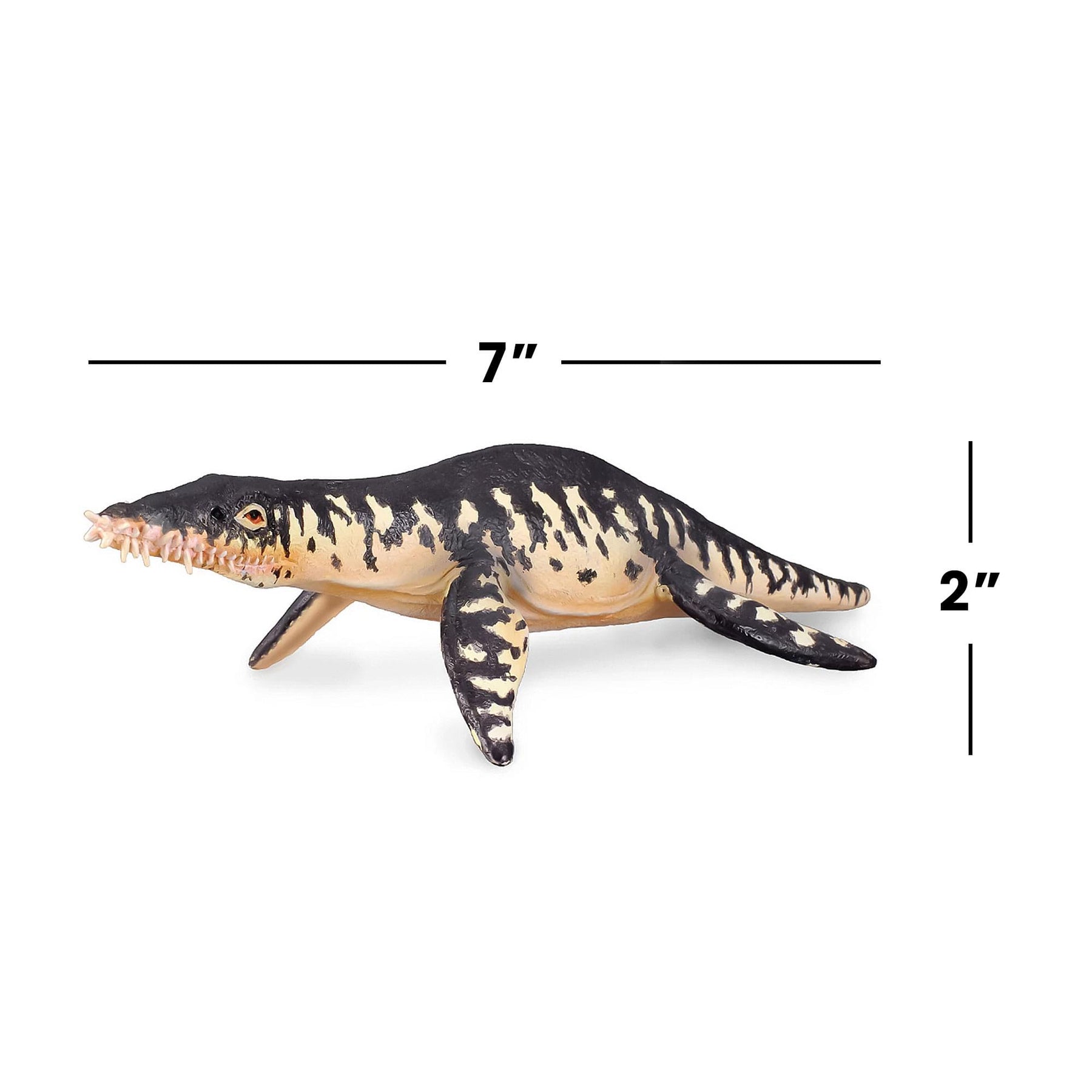 CollectA Prehistoric Life Collection Miniature Figure | Liopleurodon