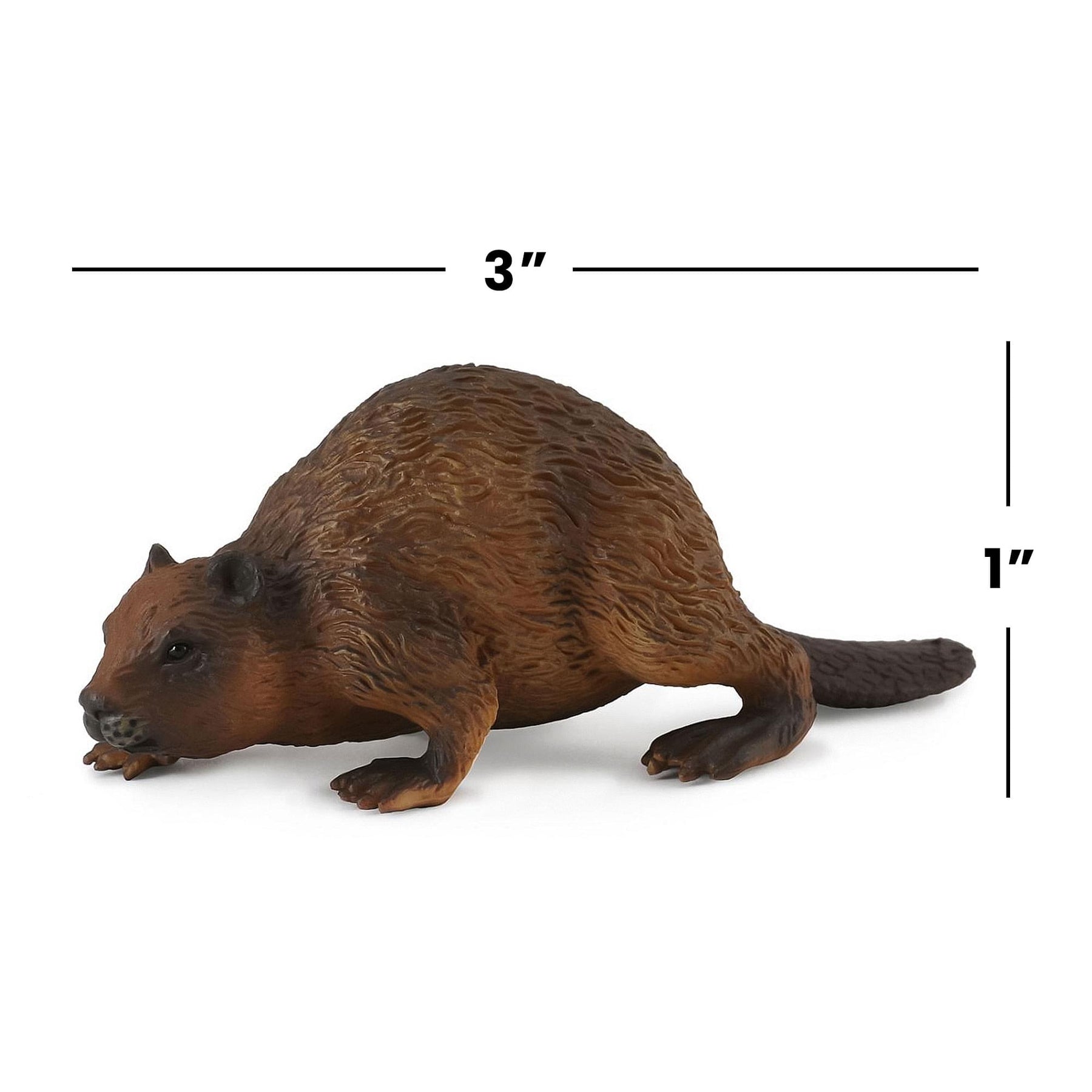 CollectA Wildlife Collection Miniature Figure | Woodlands Beaver