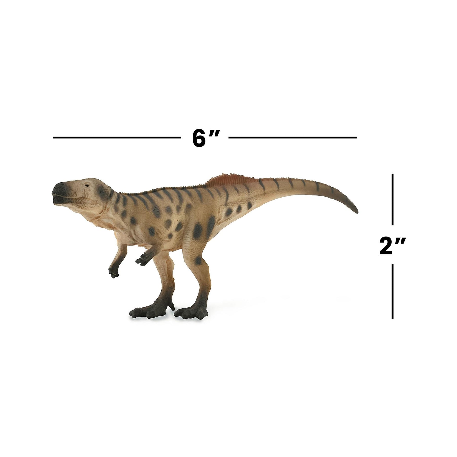 CollectA Prehistoric Life Collection Miniature Figure | Megalosaurus in Ambush