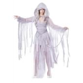 Haunting Beauty Ghost Adult Costume