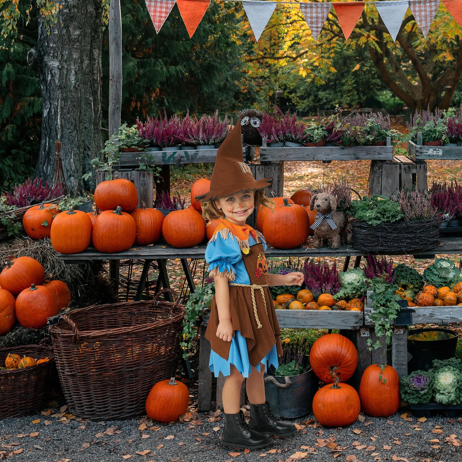 Happy Harvest Toddler Costume