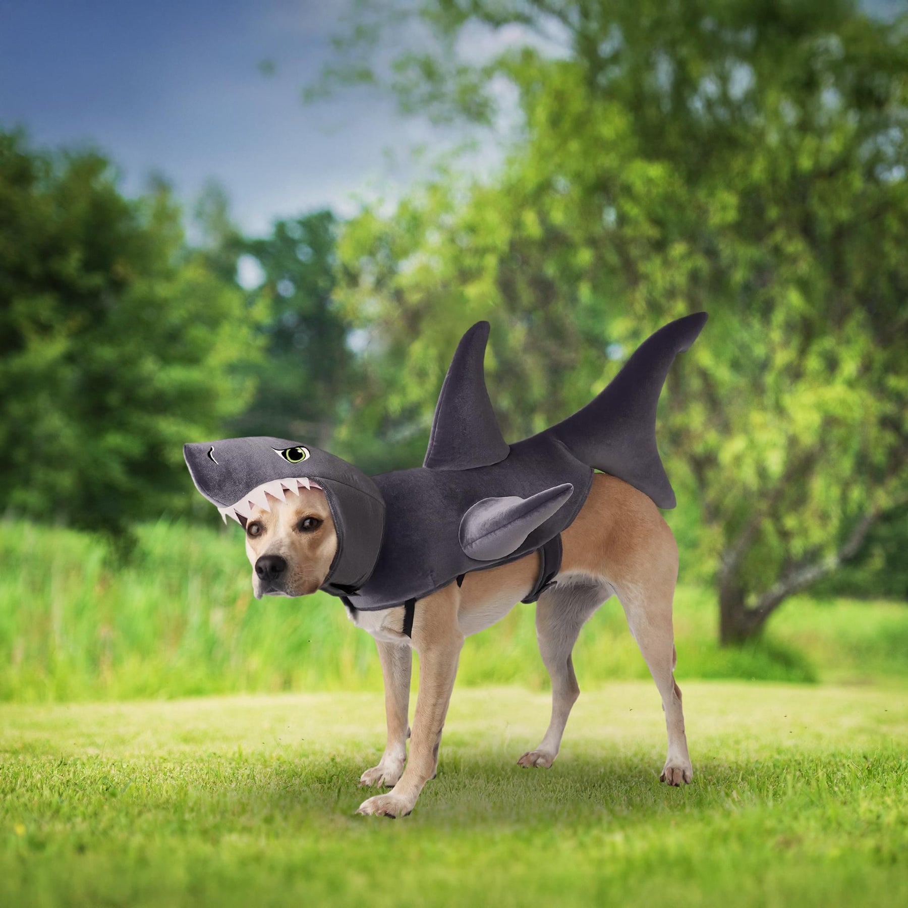 The Great White Bark Dog Costume