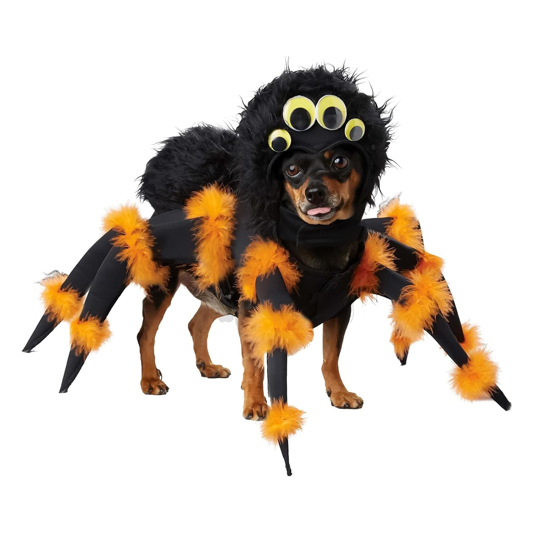 Spider Pup Pet Costume