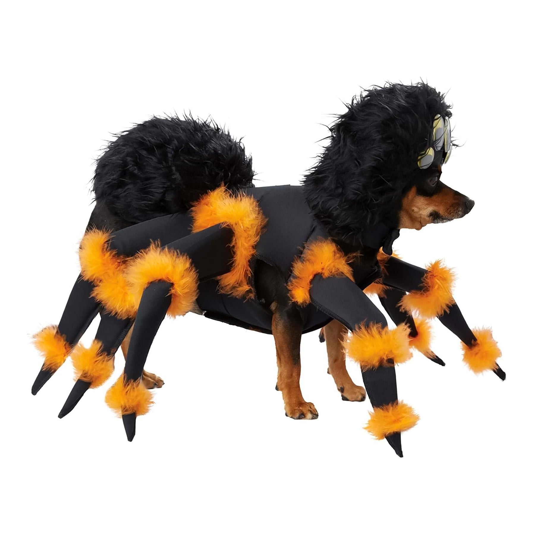 Spider Pup Pet Costume