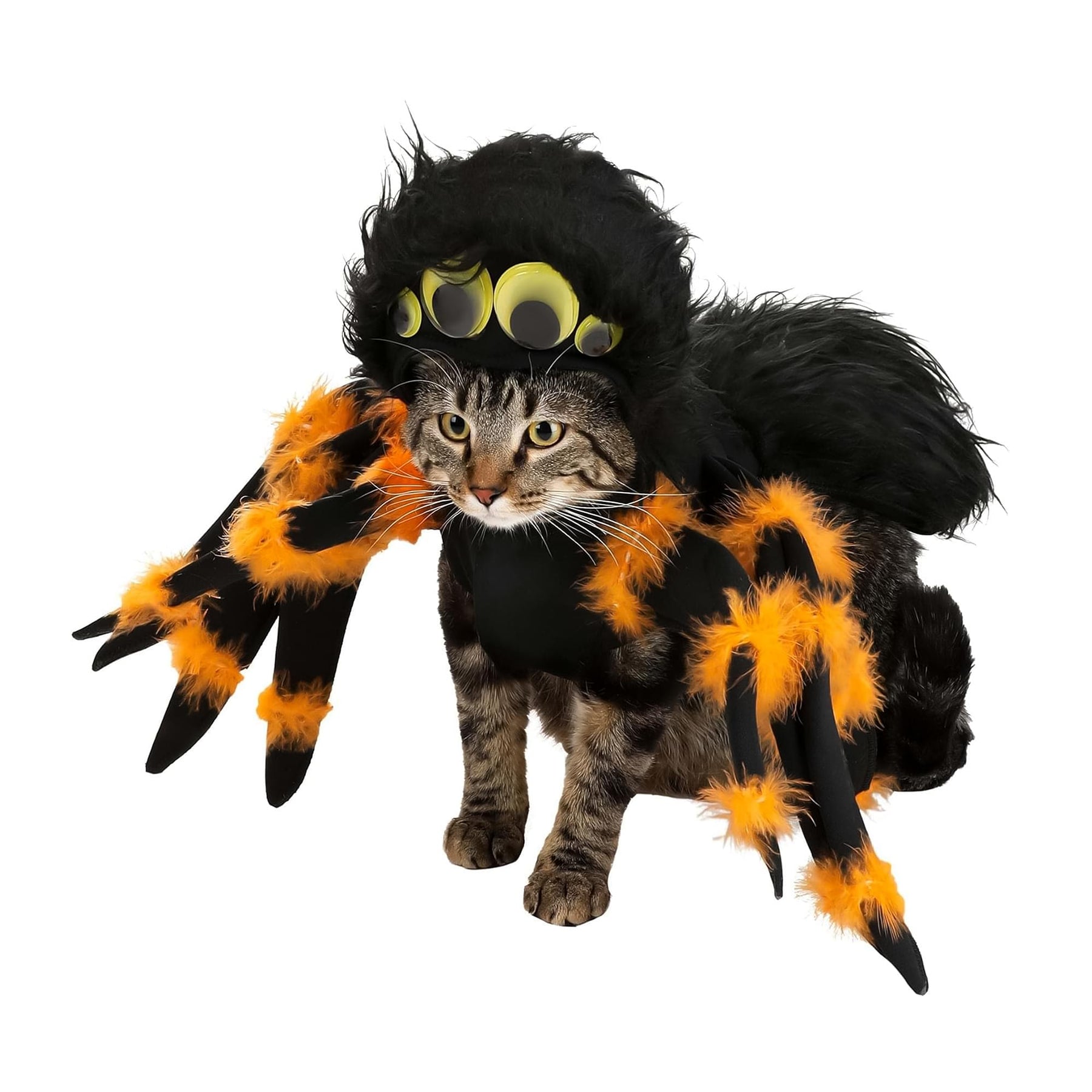 Spider Pup Pet Costume