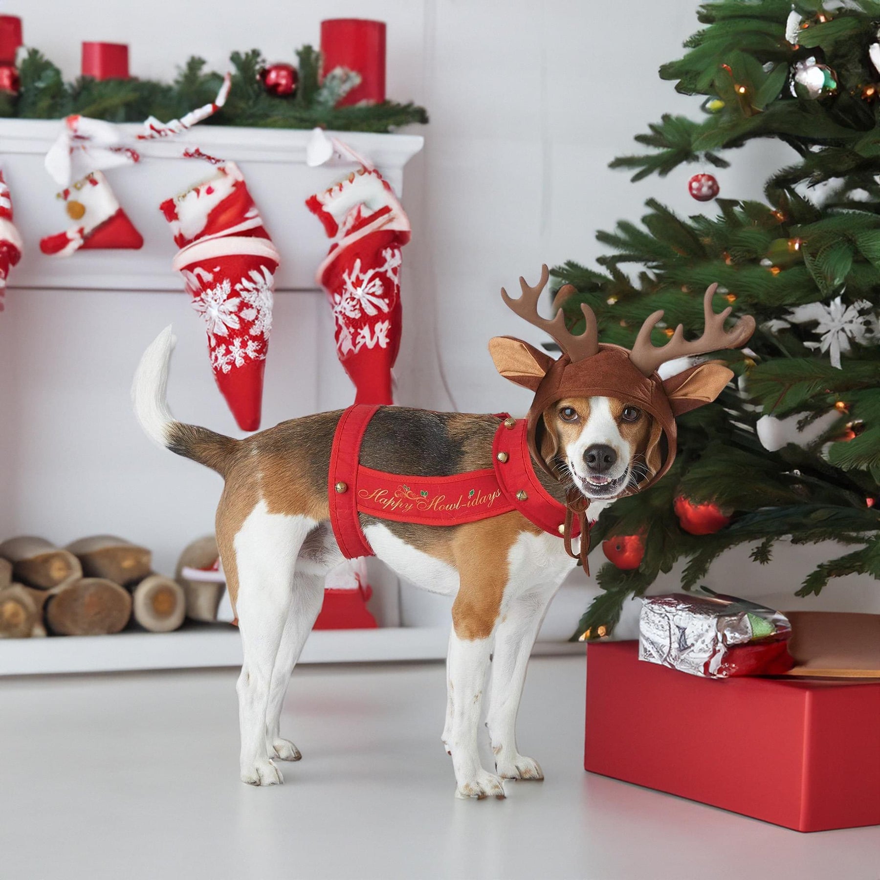 Reindeer Dog Pet Christmas Holiday Costume