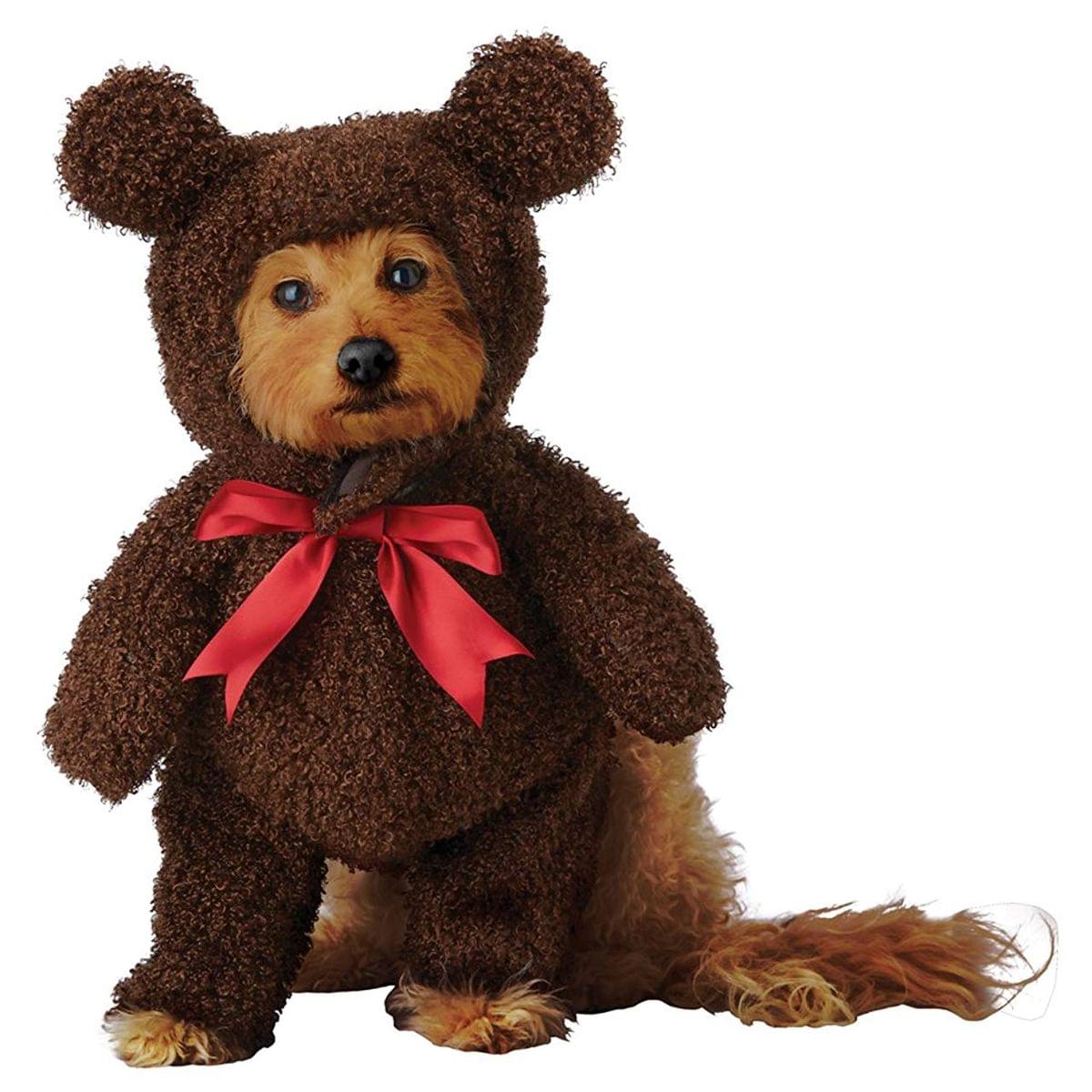Teddy Bear Dog Costume