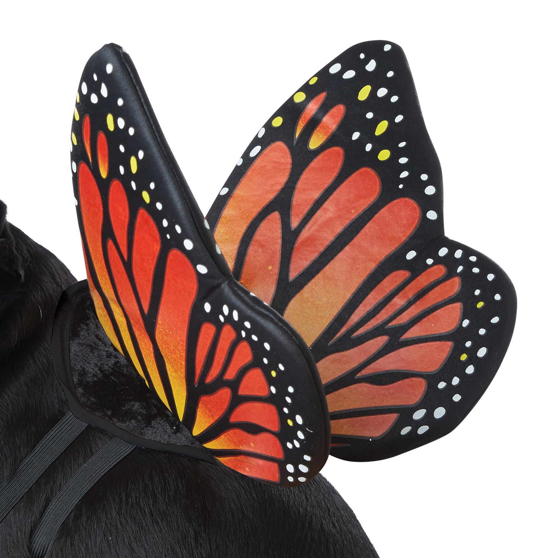 Monarch Butterfly Pet Costume | Medium