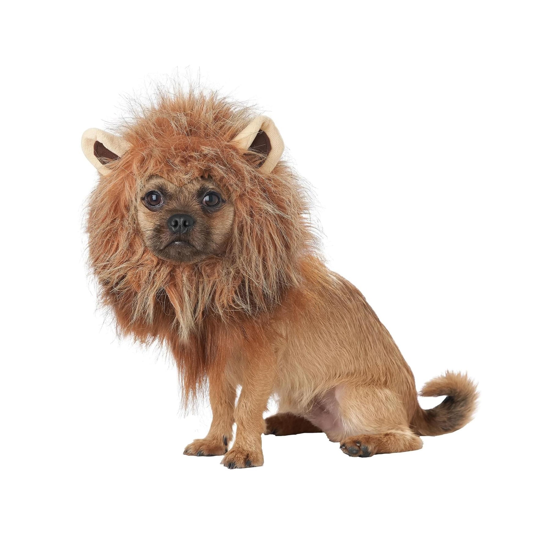 King of the Jungle Lion Dog Costume