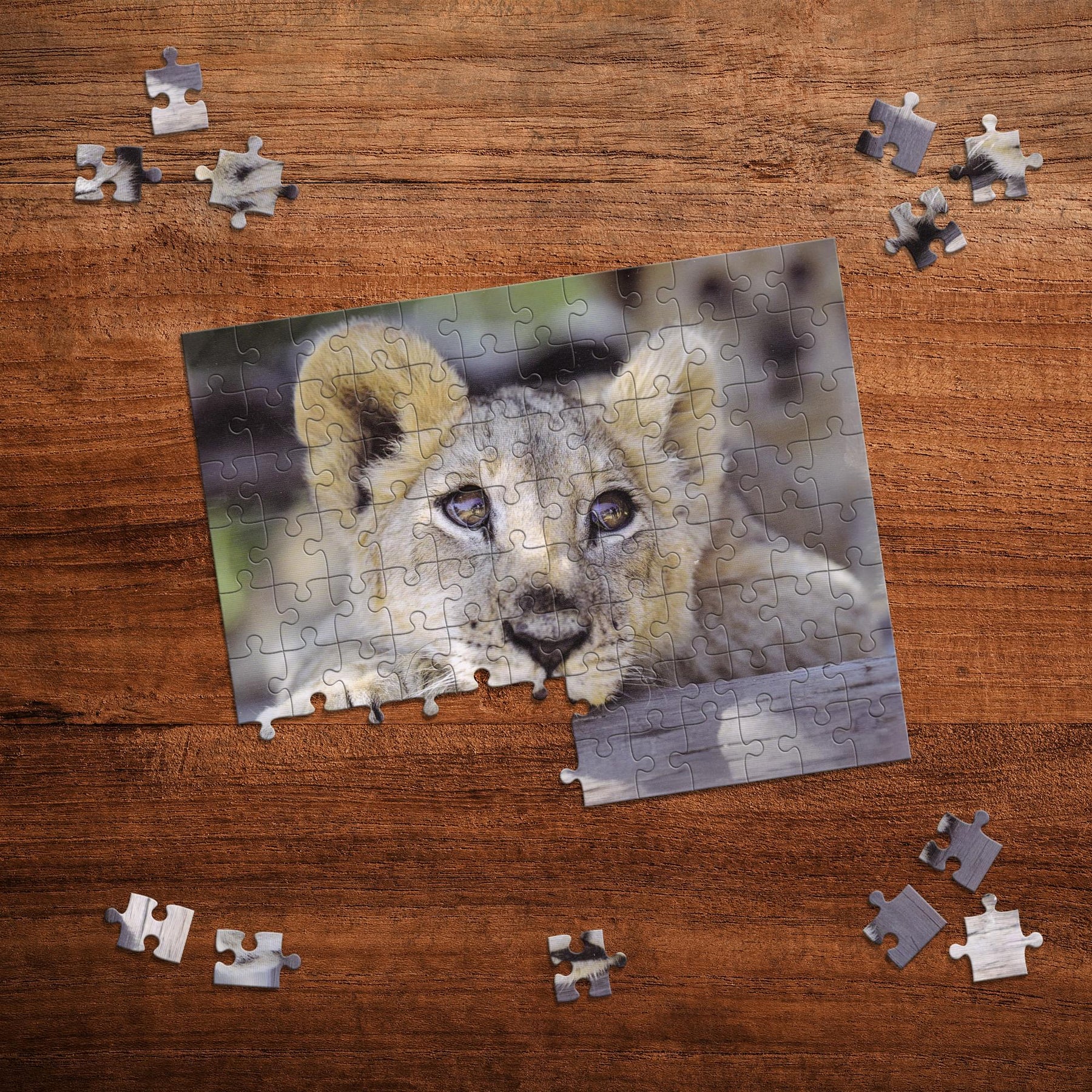 Lion 100 Piece Photographic Collection Jigsaw Puzzle