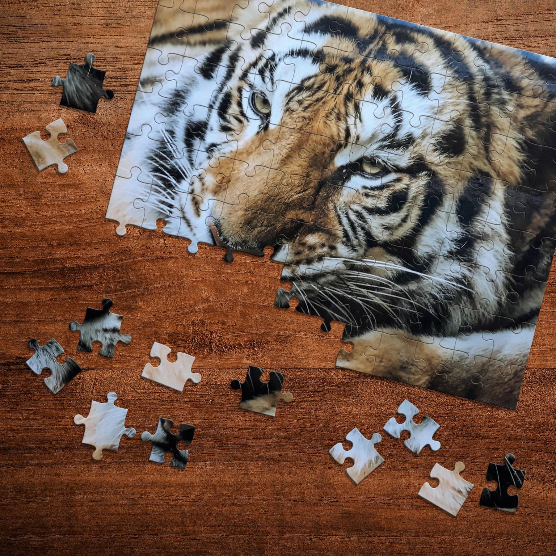 Tiger 100 Piece Photographic Collection Jigsaw Puzzle