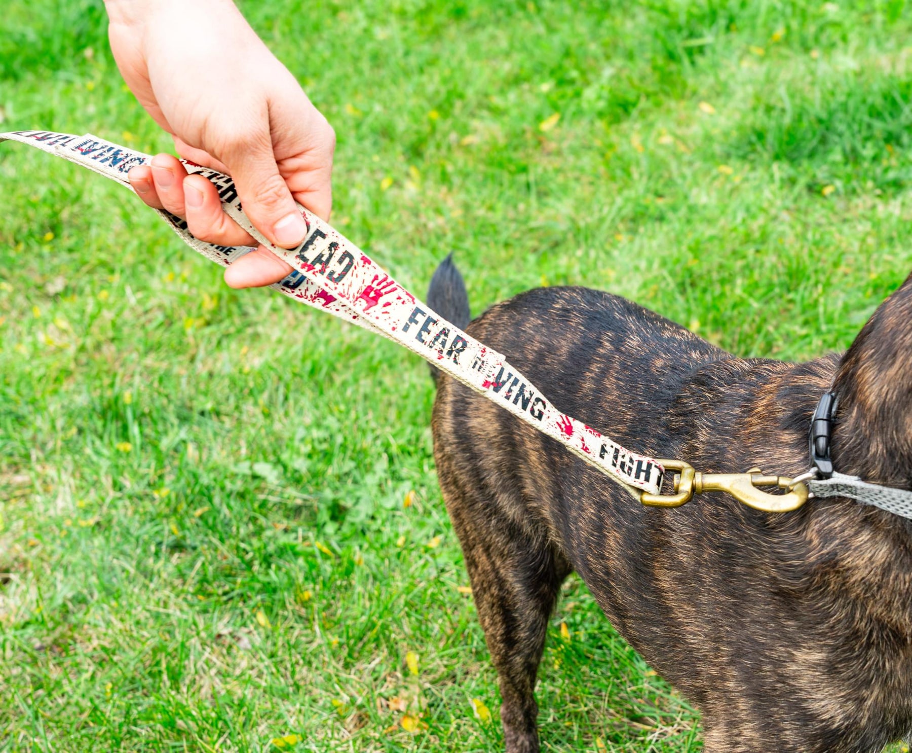 The Walking Dead "Fight the Dead, Fear the Living" 5ft. Dog Leash