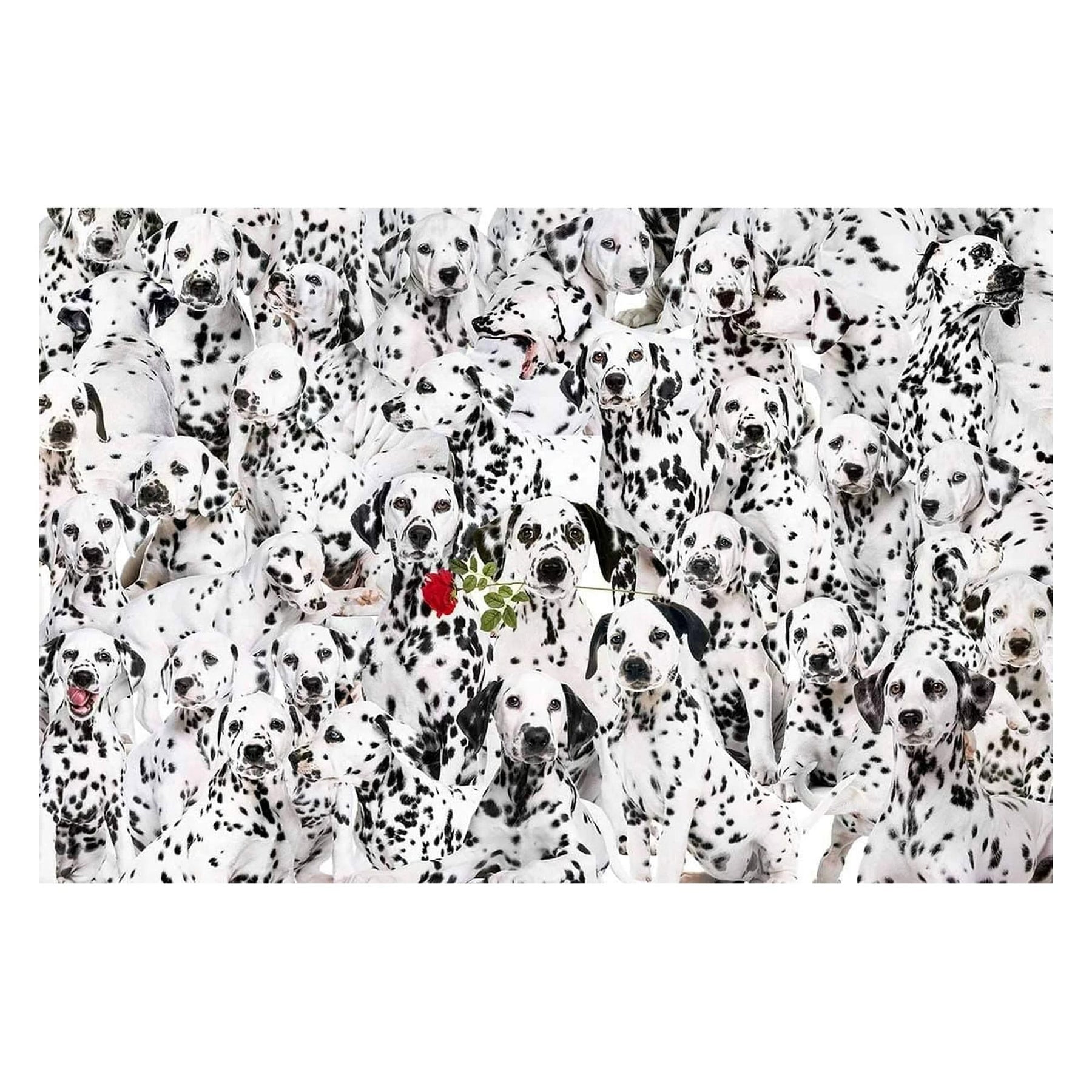 Lots of Spots 100 Piece Cra-Z Difficult Jigsaw Puzzle