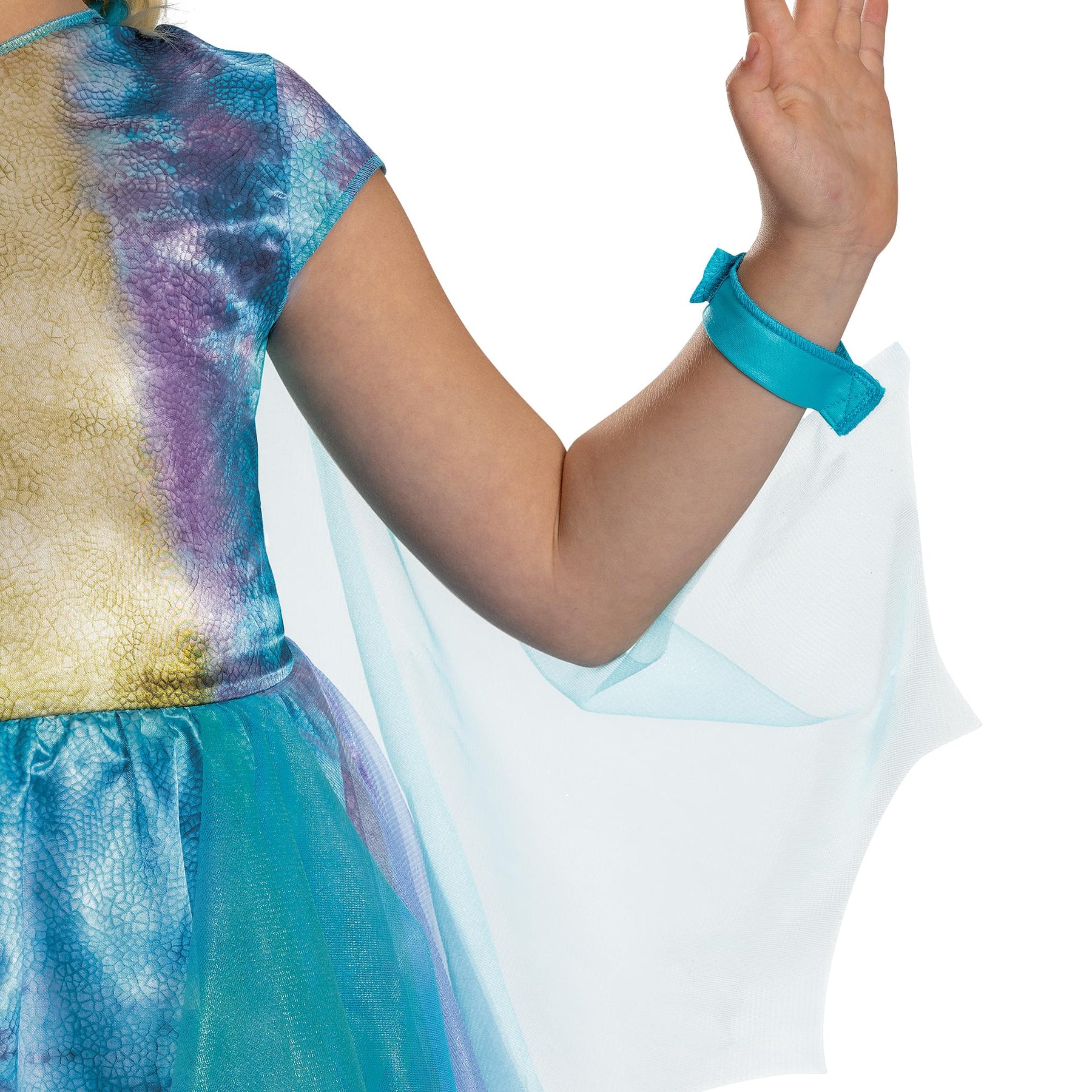 How To Train Your Dragon Stormfly Classic Child Costume