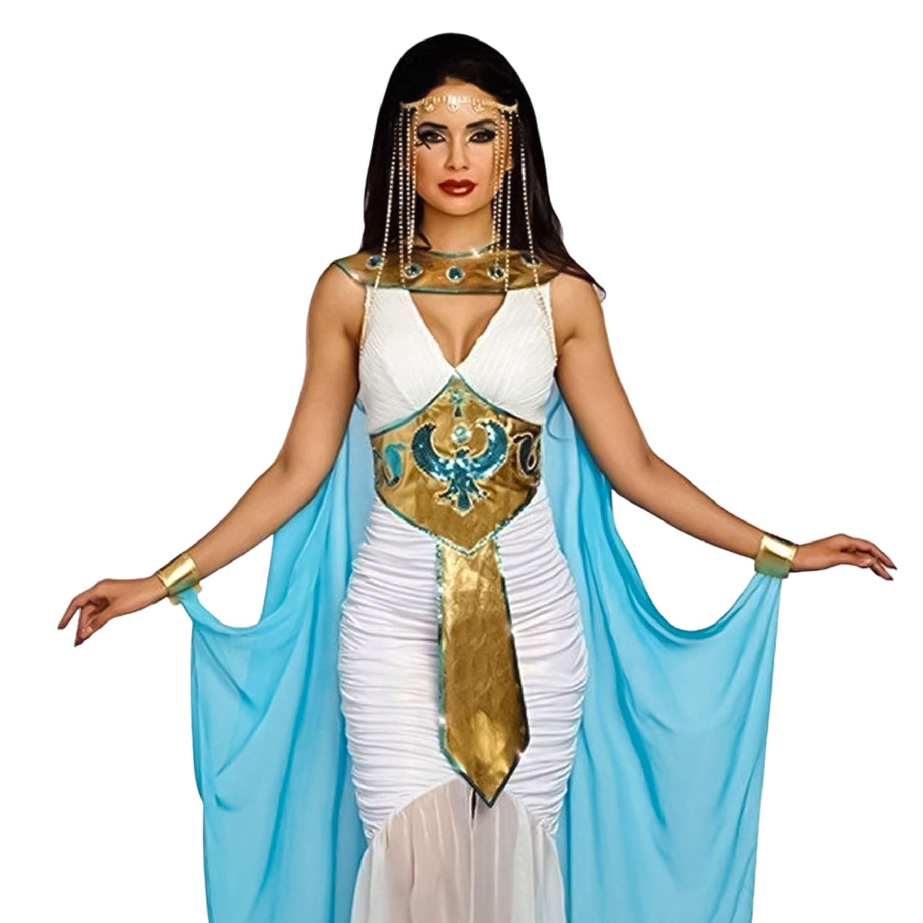 Queen of De Nile Adult Costume