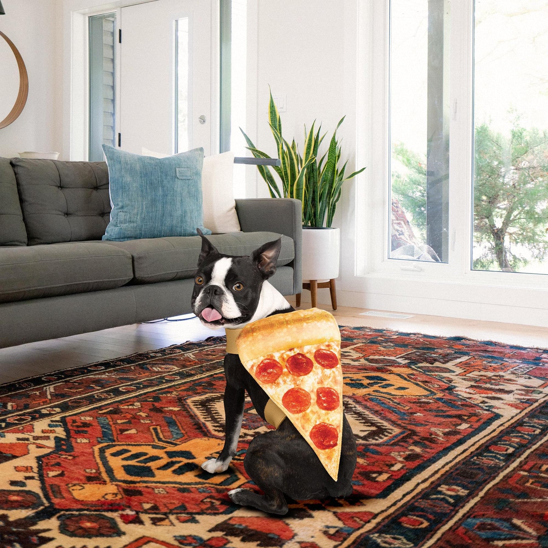 Pizza Pup Dog Pet Costume