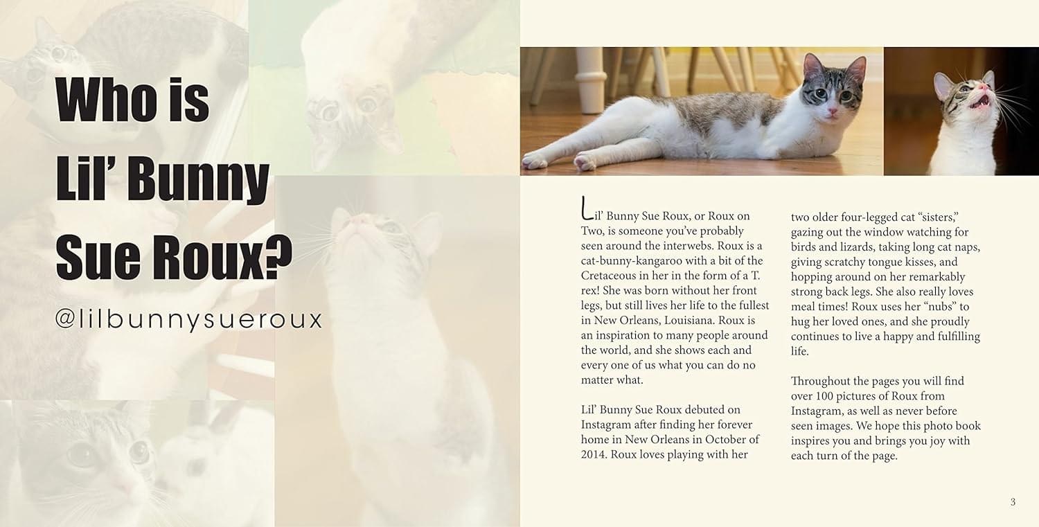 Lil' Bunny Sue Roux Book