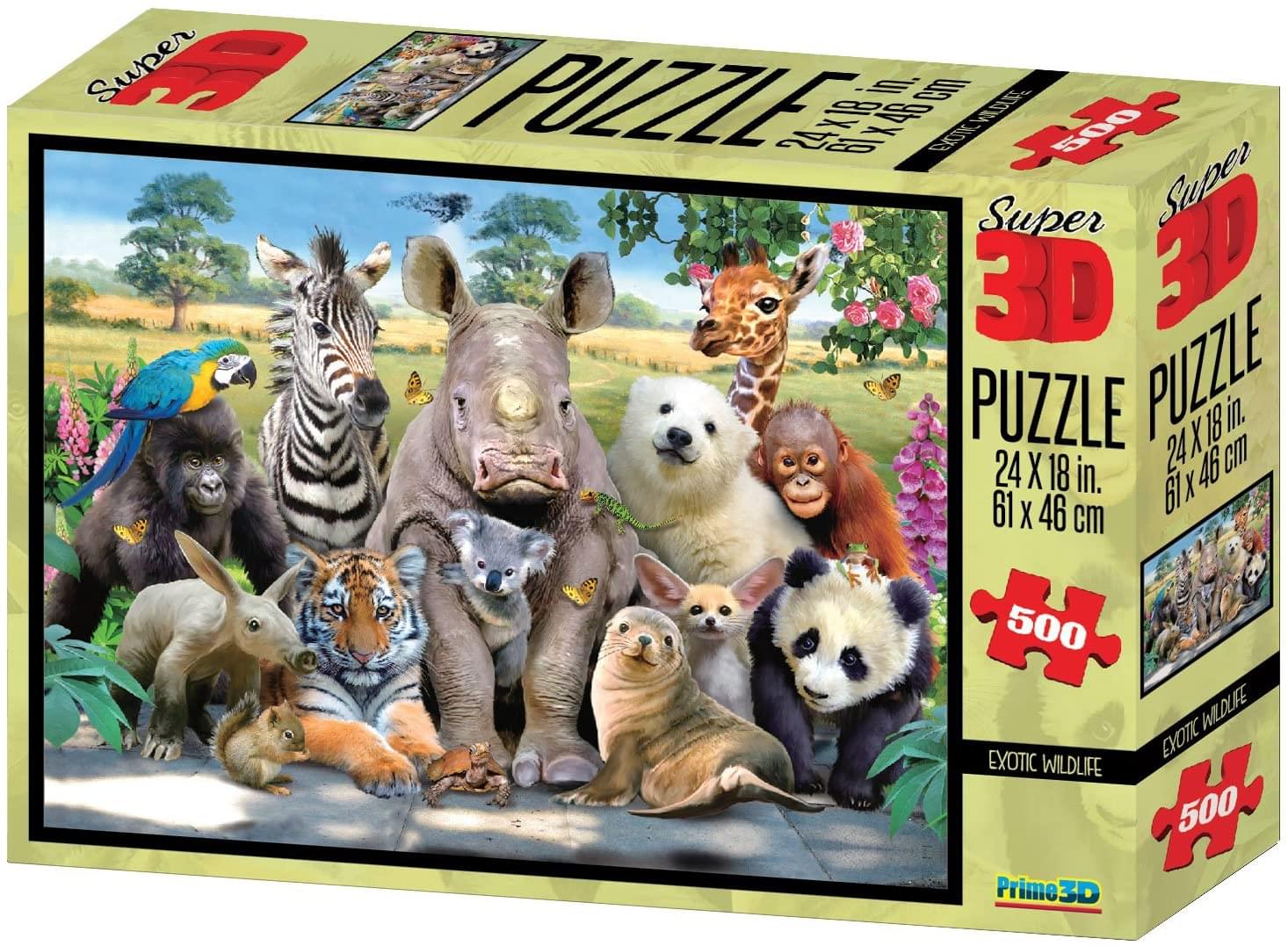 Howard Robinson Class Photo 500 Piece Puzzle