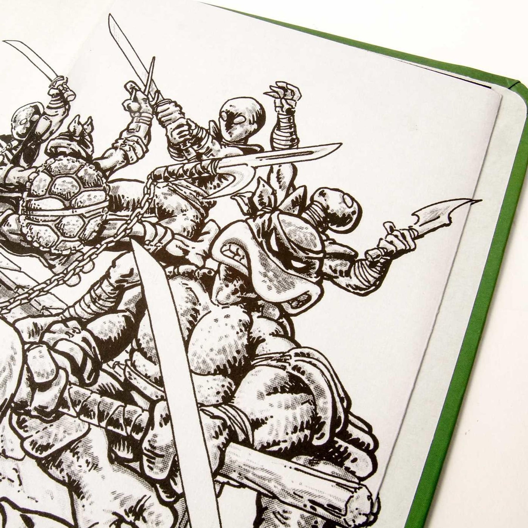 Teenage Mutant Ninja Turtles Hardcover Ruled Journal | 192 Pages