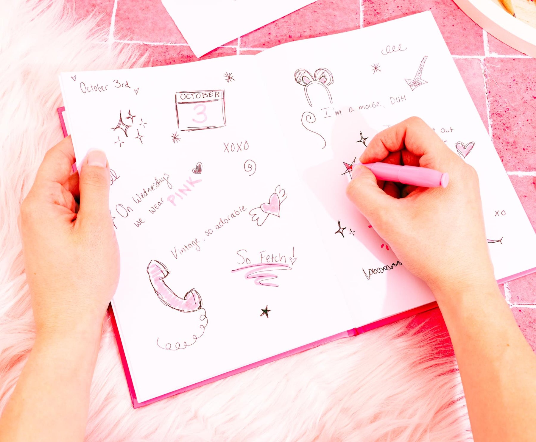 Mean Girls Burn Book Hardback Journal