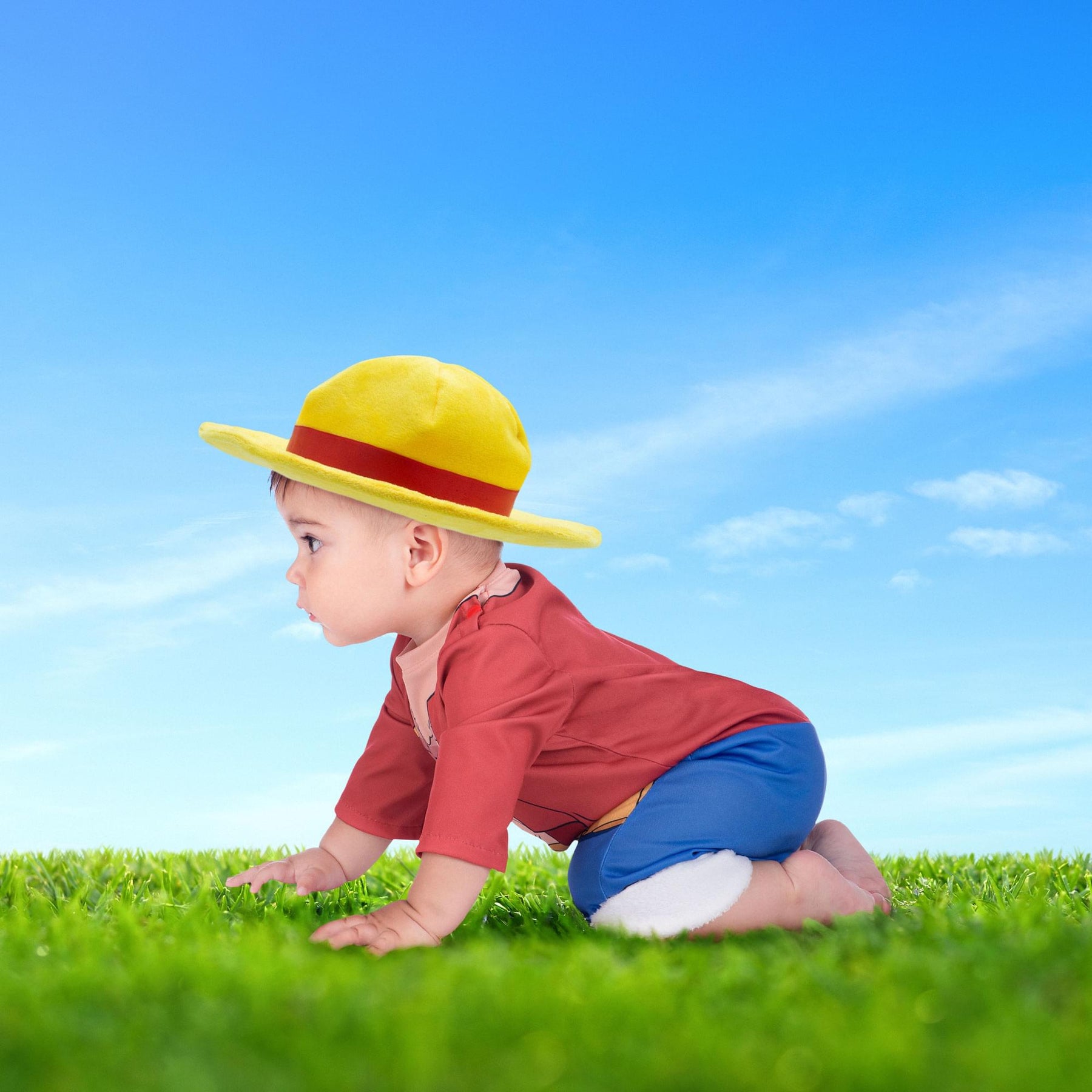 One Piece Luffy Child Costume