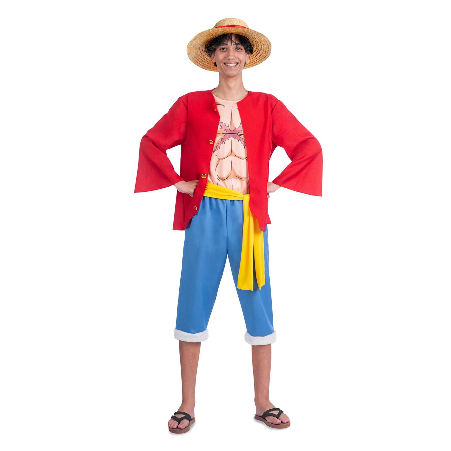 One Piece Luffy Adult Costume