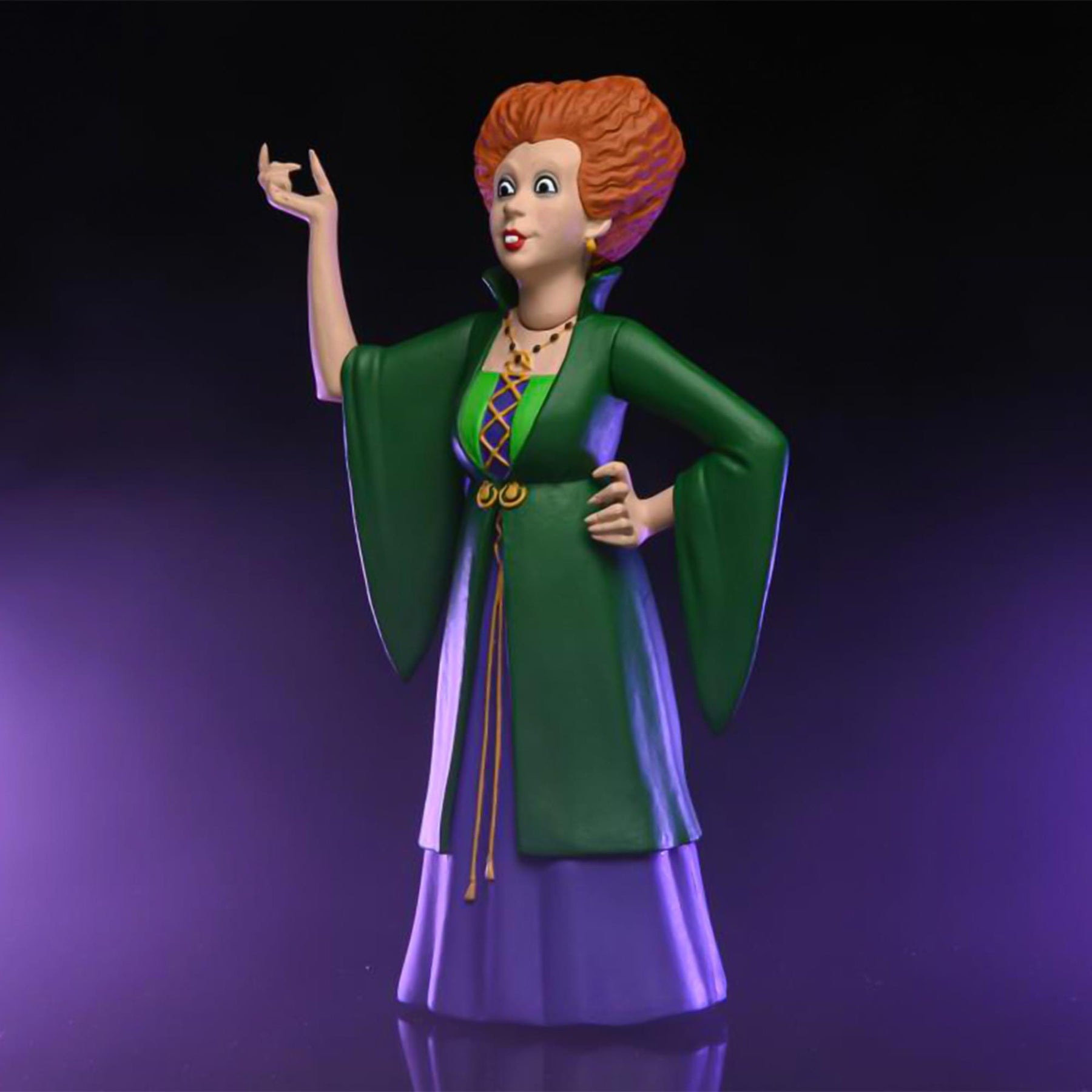 Disney Hocus Pocus Toony Terrors 6 Inch Scale Action Figure | Winifred Sanderson