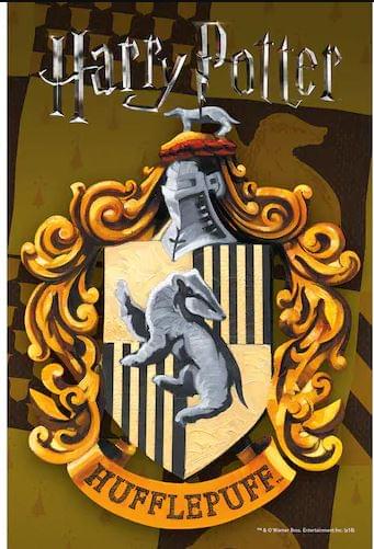 Harry Potter House Hufflepuff 150 Piece Micro Jigsaw Puzzle In Tube