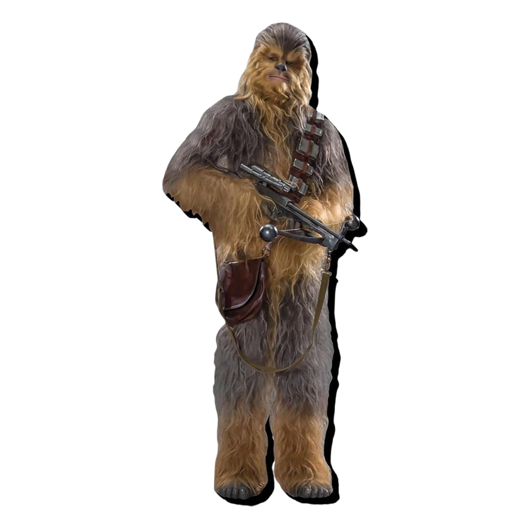 Star Wars Chewbacca Funky Chunky Magnet