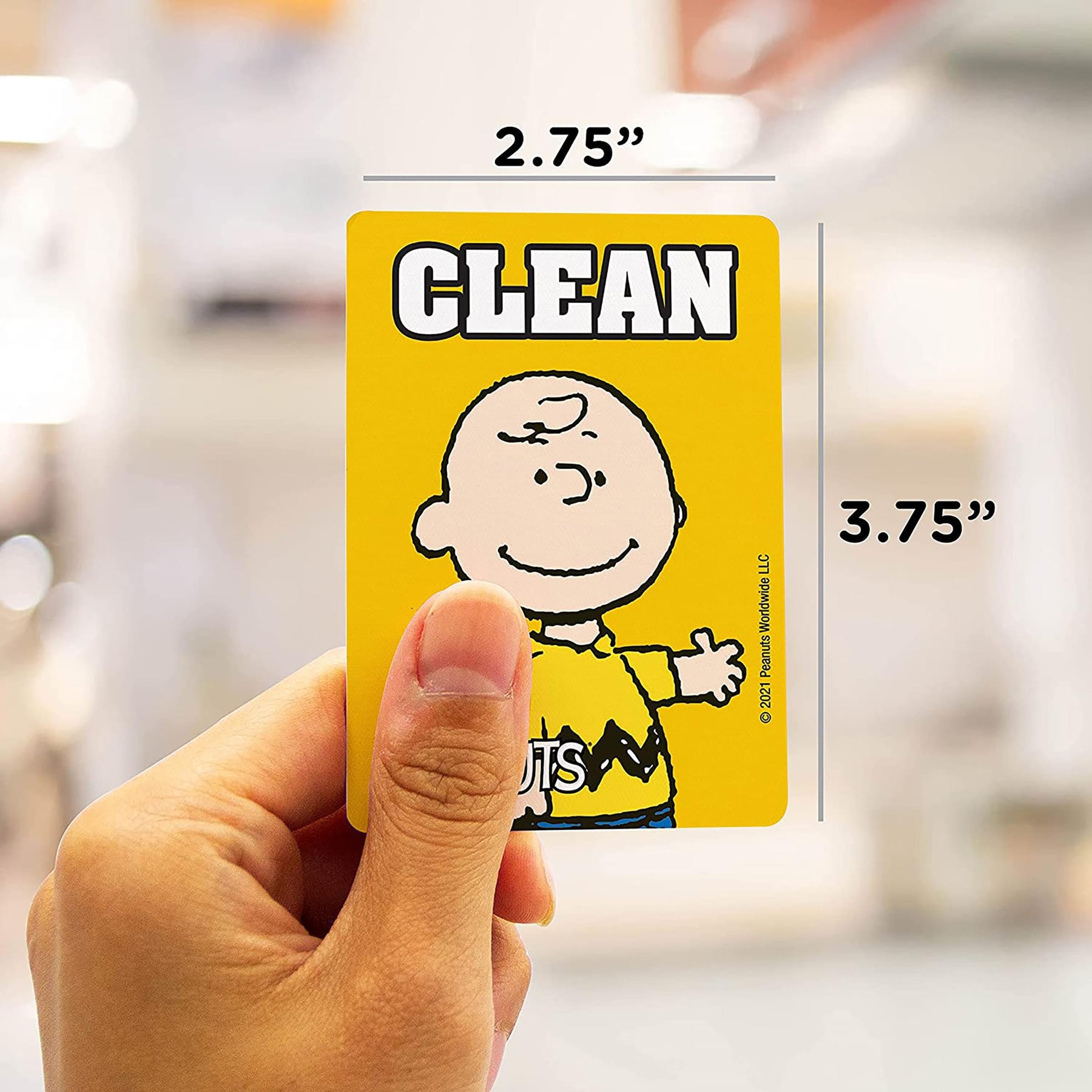 Peanuts Charlie and Pig Pen Double Sided Dishwasher Magnet