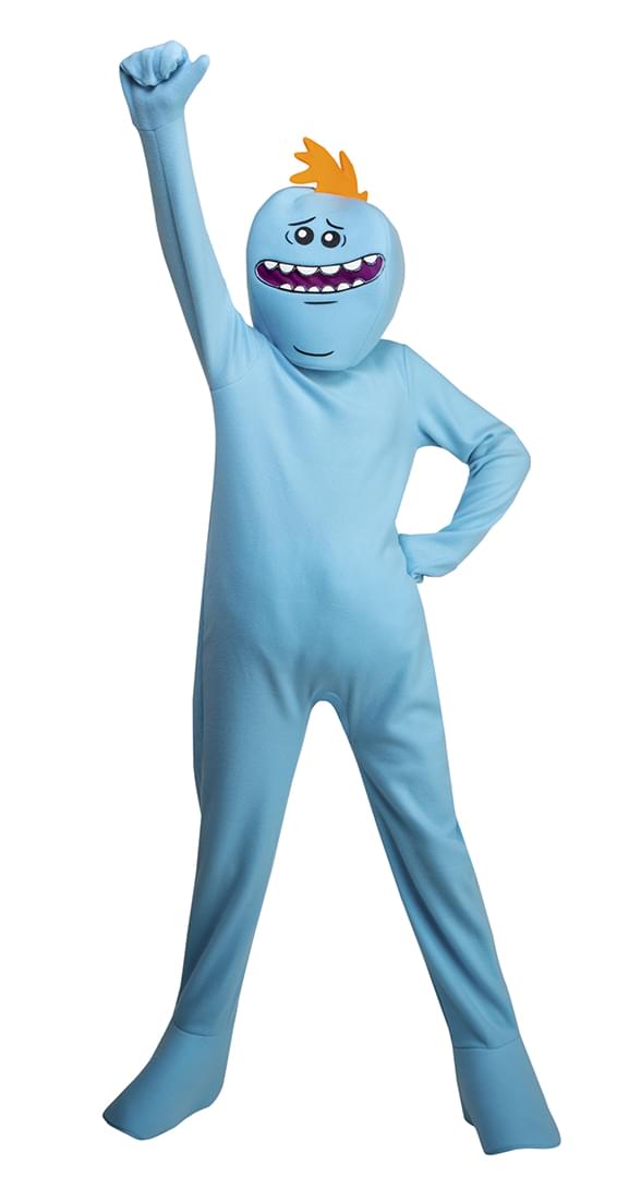 Rick and Morty Mr. Meeseeks Teen Costume