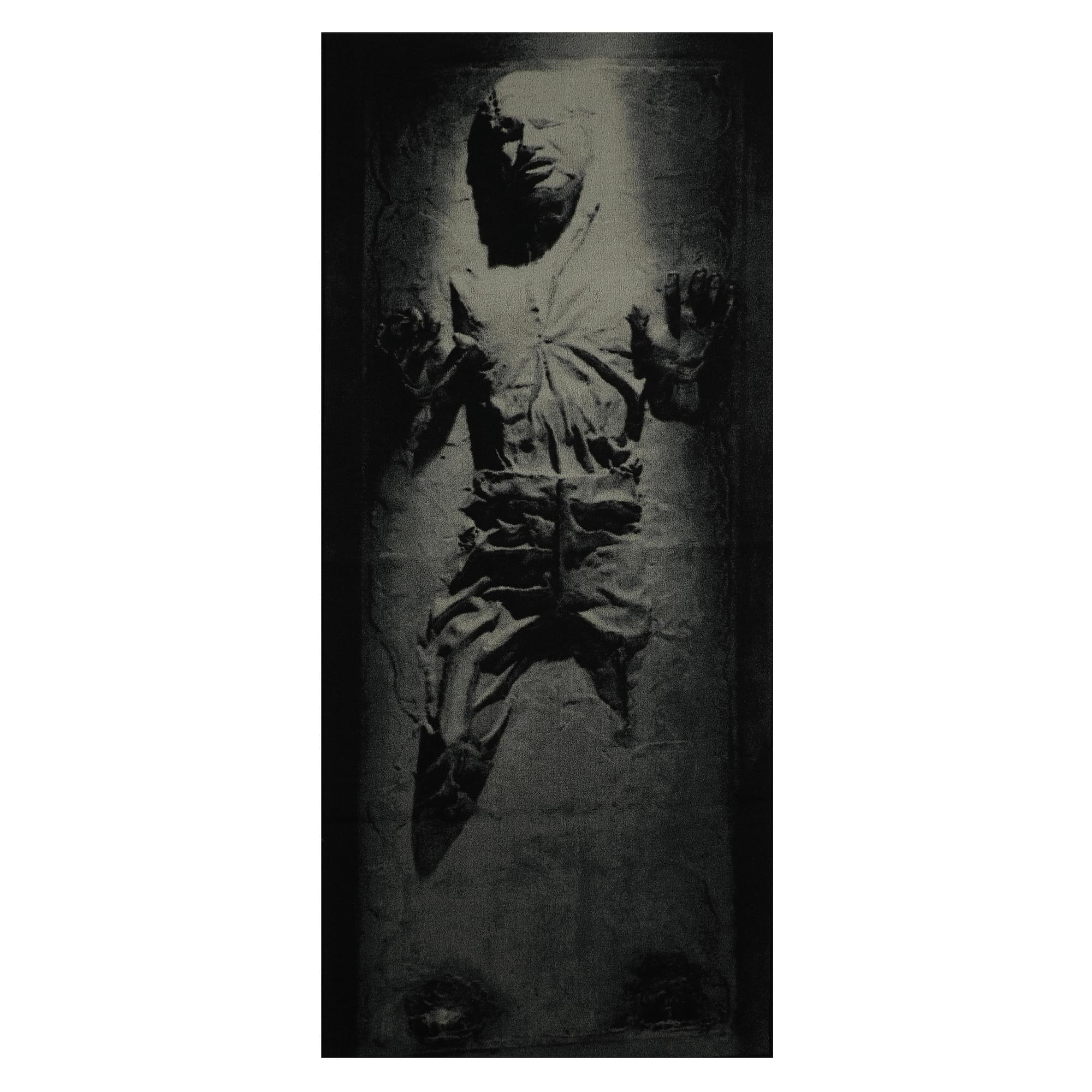 Star Wars Han Solo in Carbonite 39 x 90 Inch Area Rug | Free Shipping