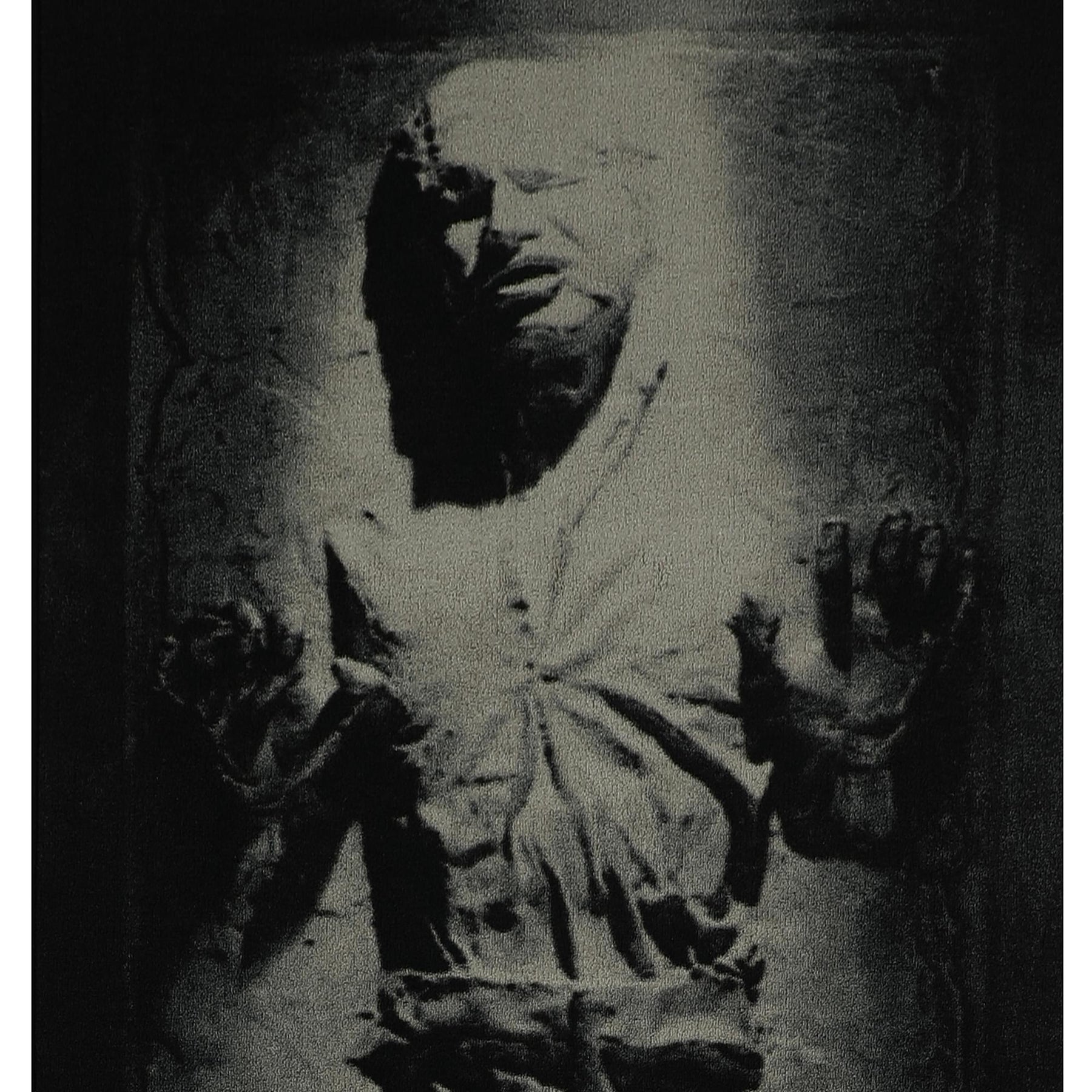 Star Wars Han Solo in Carbonite Area Rug | 39 x 91 Inches