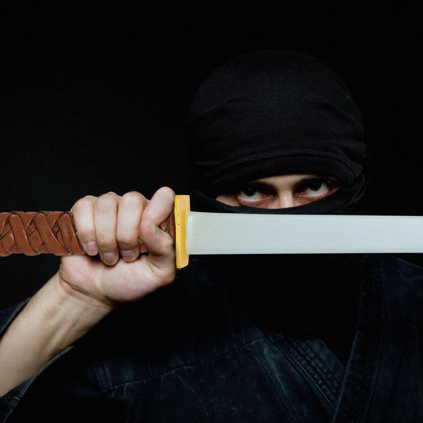 TMNT Leonardo Katana Costume Accessory