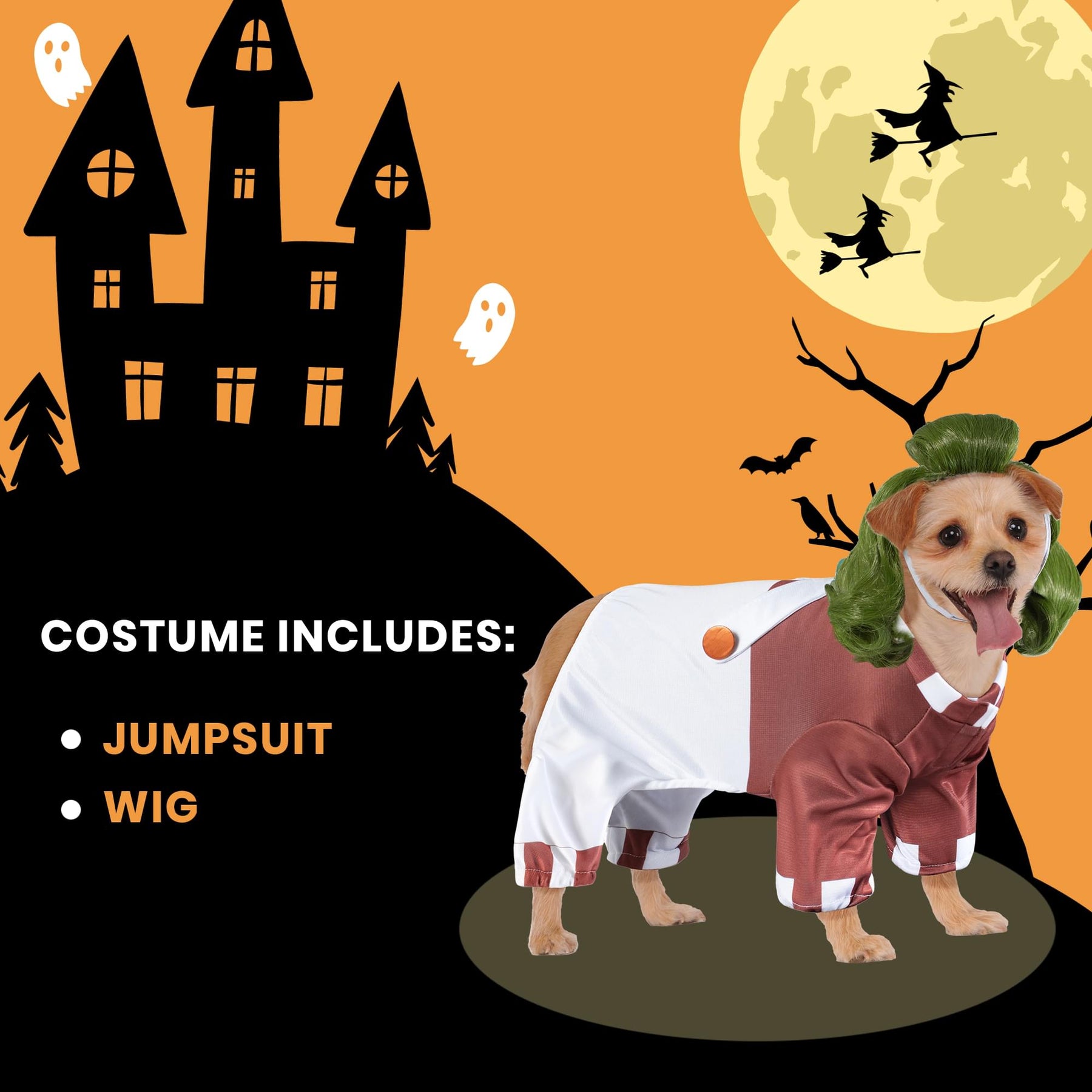Willy Wonka Oompa Loompa Pet Costume