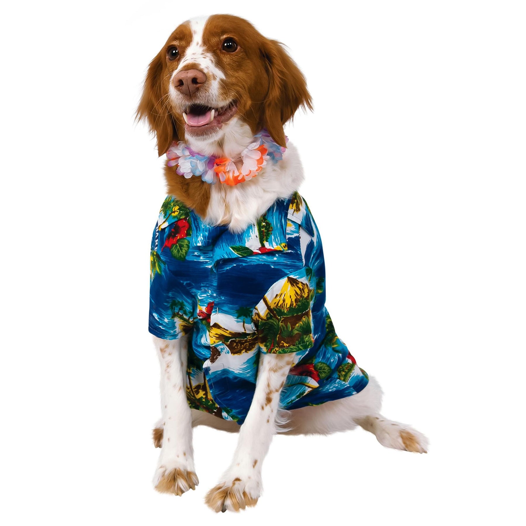 Luau Dog Back, Chest Adult Costume